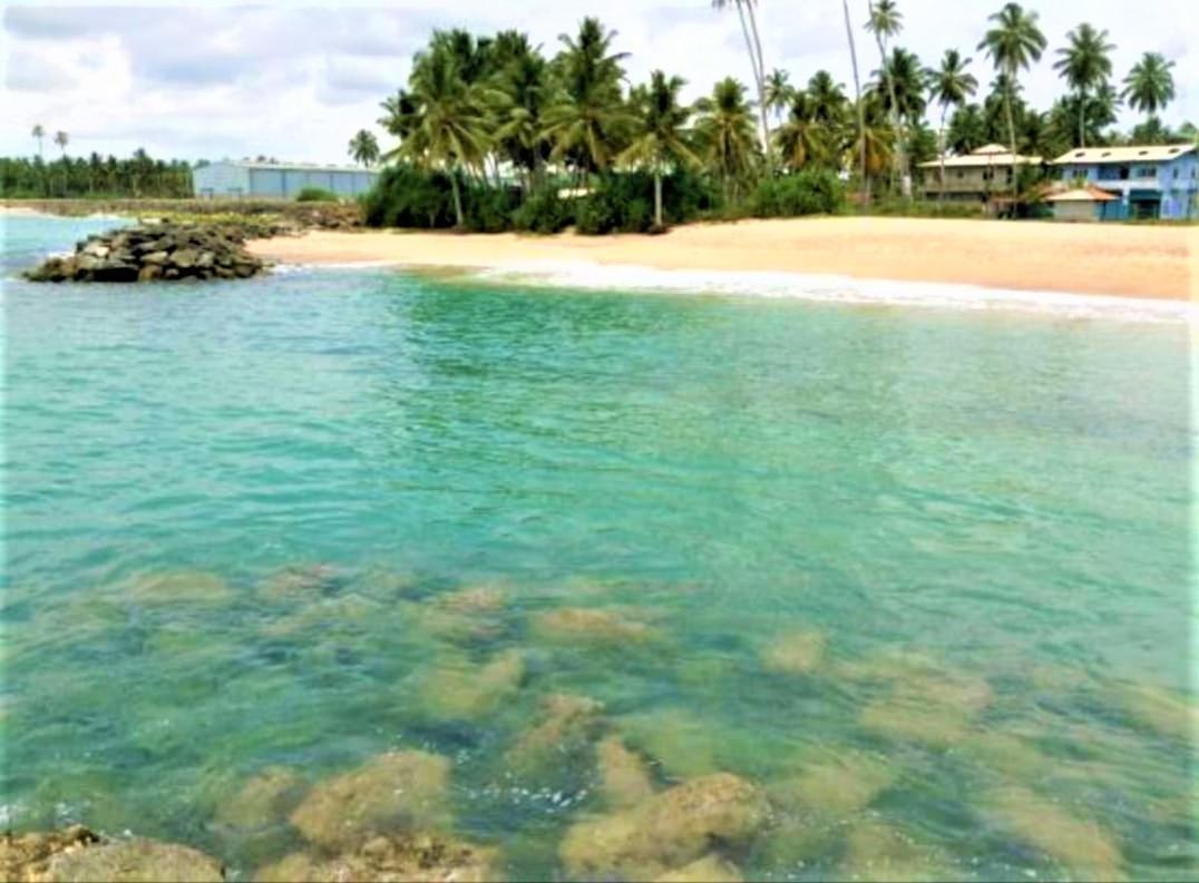 Sea Shell Villa Hikkaduwa 2 Separate Cabanas Ocean Front Villa المظهر الخارجي الصورة